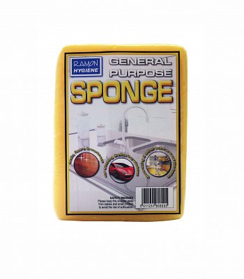 Featured Image for Sponge