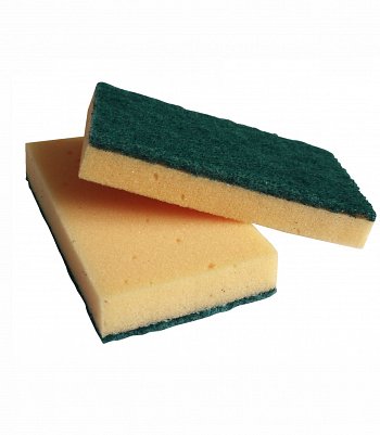 Featured Image for Sponge Scorers