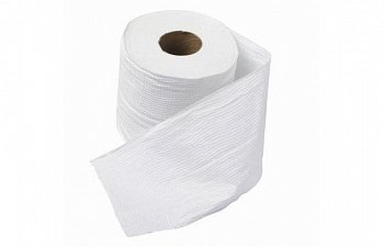 Featured Image for Toilet Tissue