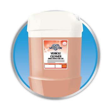 Featured Image for Vehicle Cleaners