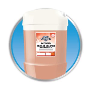 Economy Vehicle Cleaner