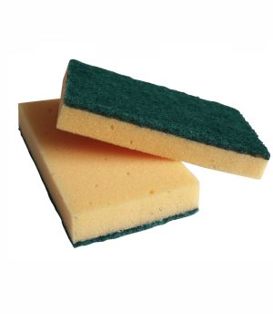 Large Sponge Scourer
