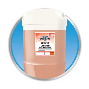 Vehicle Cleaner